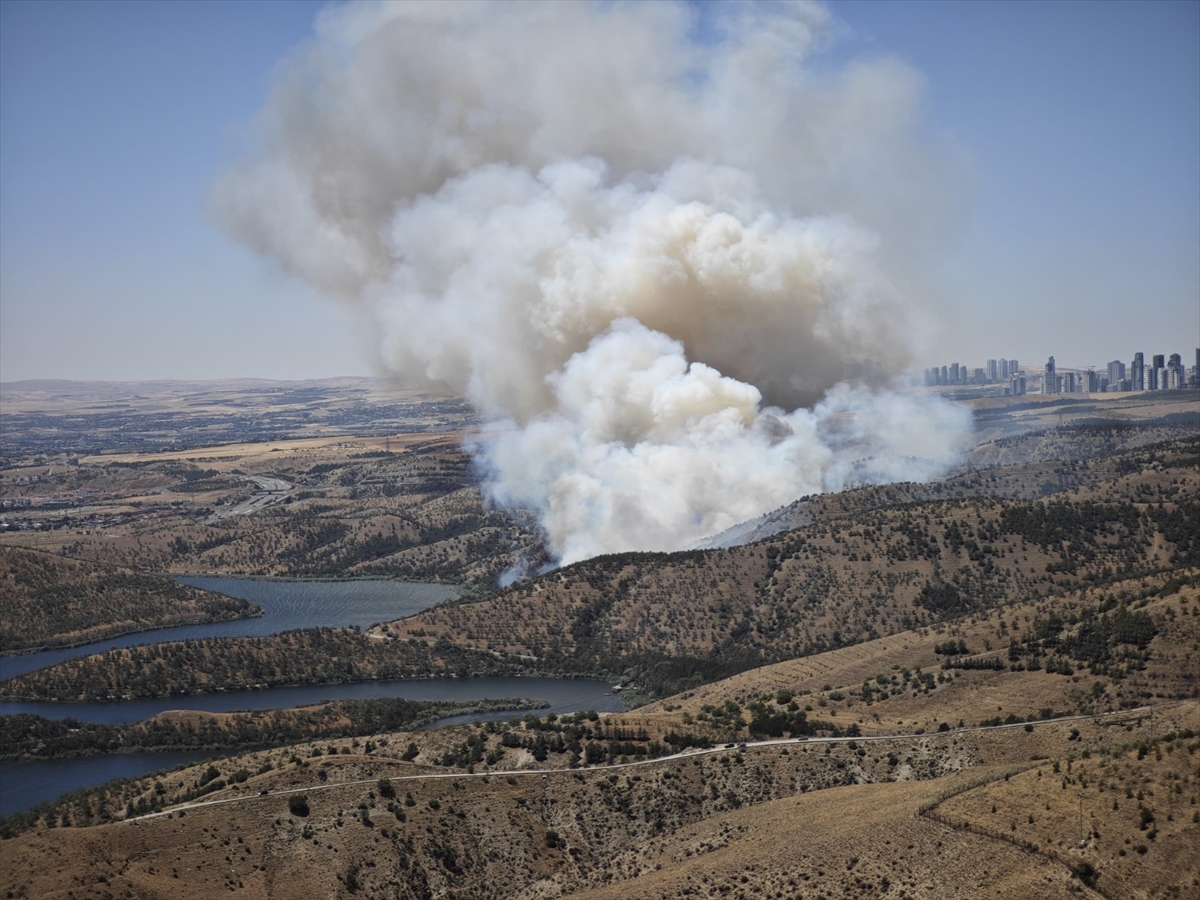 A A 20250726 38667568 38667567 A N K A R A D A O R M A N L I K A L A N D A Y A N G I N C I K T I