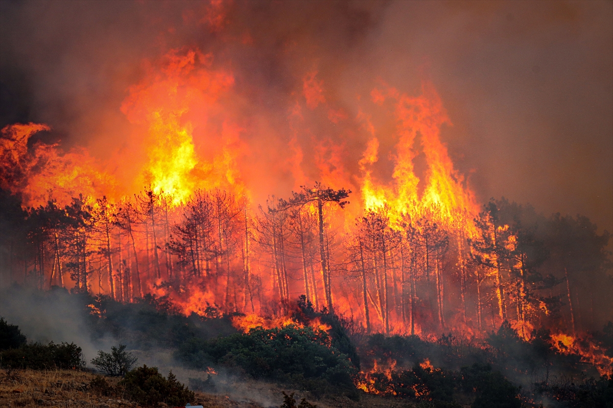 A A 20250727 38680059 38680053 B U R S A N I N O R H A N E L I I L C E S I N D E K I O R M A N Y A N G I N I N A M U D A H A L E S U R U Y O R