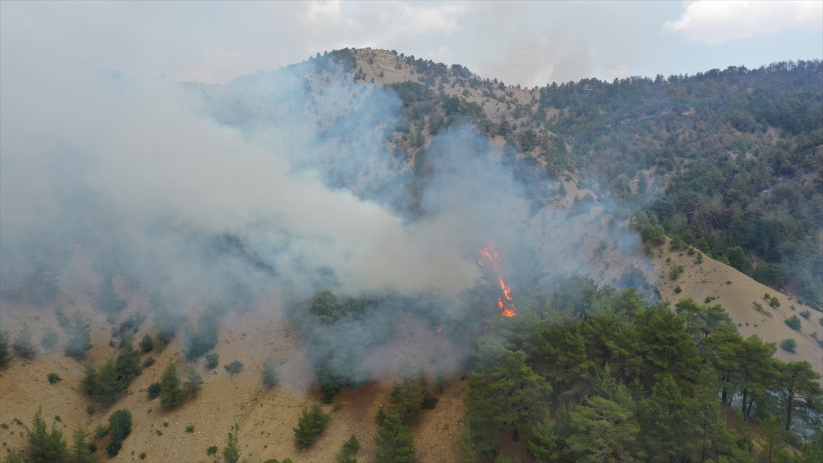 A A 20250727 38680916 38680911 K A H R A M A N M A R A S T A K I O R M A N Y A N G I N I N A M U D A H A L E 2 G U N U N D E S U R U Y O R