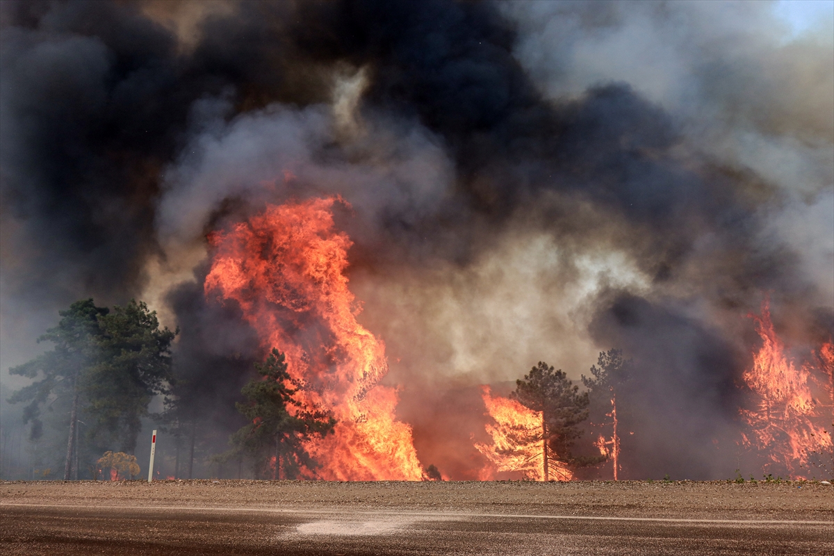 A A 20250728 38686910 38686903 B U R S A N I N O R H A N E L I I L E H A R M A N C I K I L C E L E R I N D E K I O R M A N Y A N G I N I N A M U D A H A L E S U R U Y O R-1