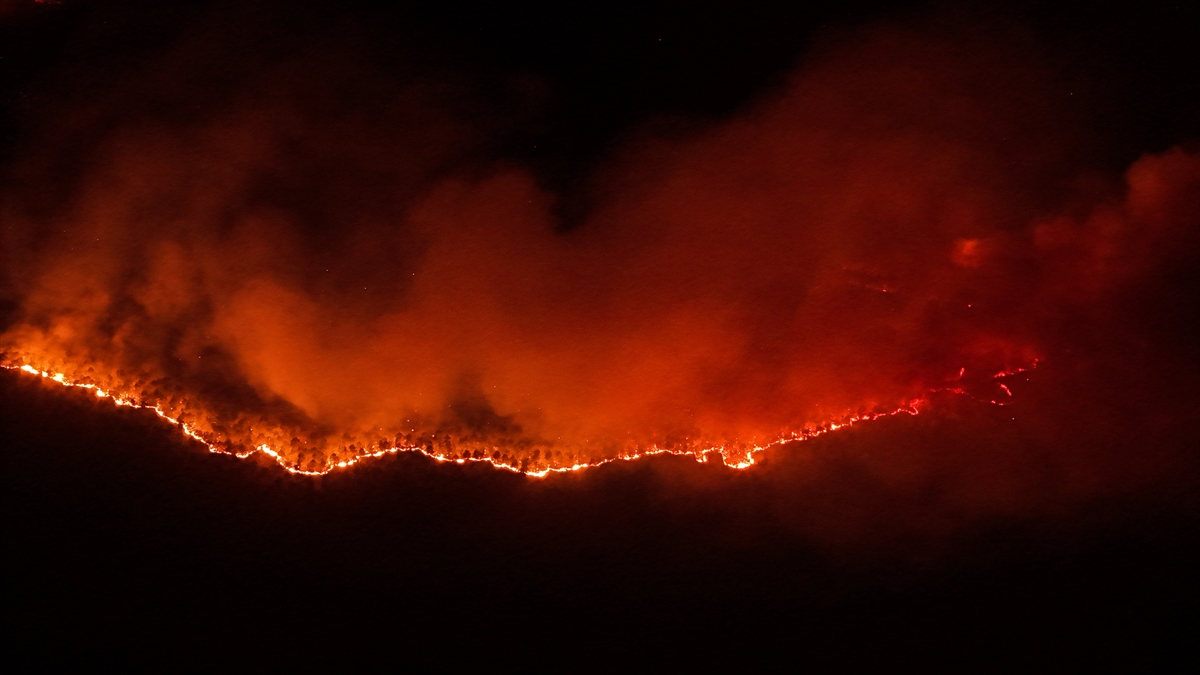 A A 20250728 38691036 38691028 B U R S A N I N O R H A N E L I H A R M A N C I K H A T T I N D A K I O R M A N Y A N G I N I N A M U D A H A L E S U R U Y O R