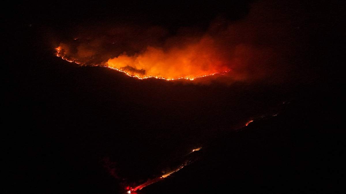 A A 20250728 38691036 38691029 B U R S A N I N O R H A N E L I H A R M A N C I K H A T T I N D A K I O R M A N Y A N G I N I N A M U D A H A L E S U R U Y O R