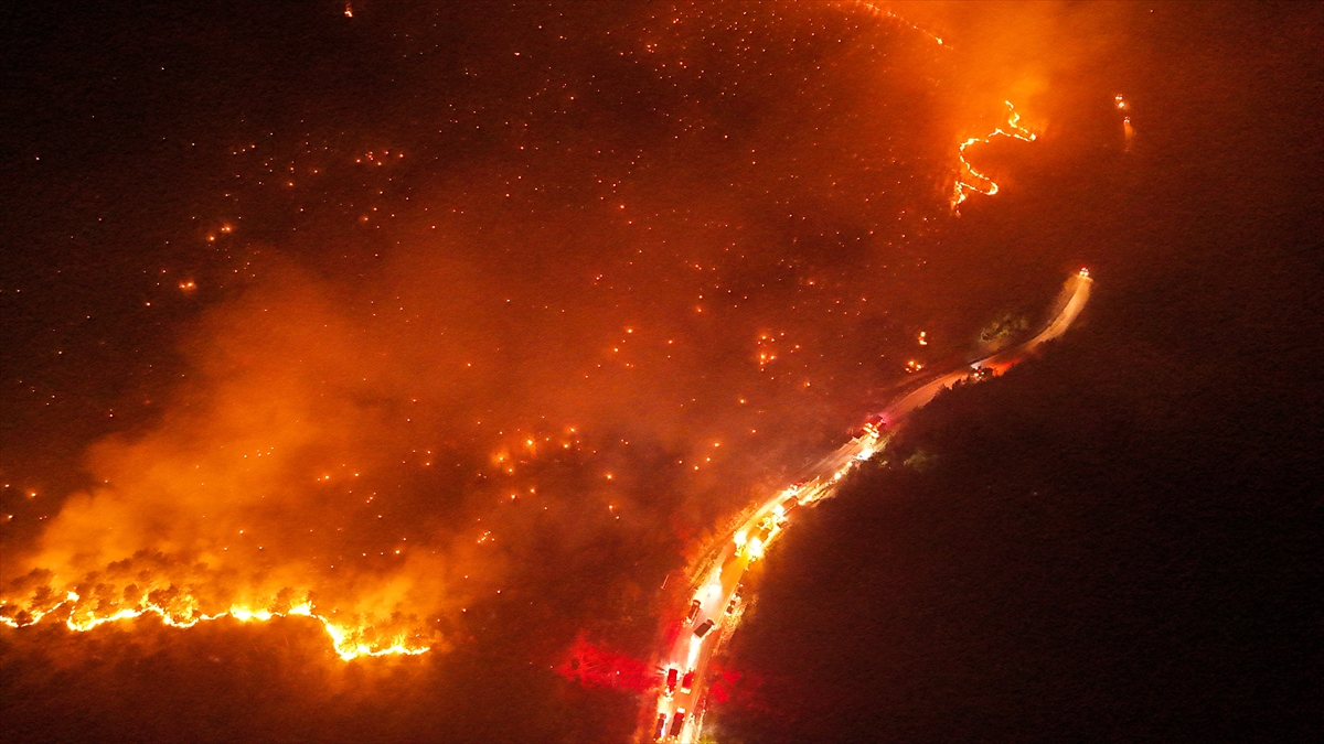 A A 20250728 38691036 38691031 B U R S A N I N O R H A N E L I H A R M A N C I K H A T T I N D A K I O R M A N Y A N G I N I N A M U D A H A L E S U R U Y O R