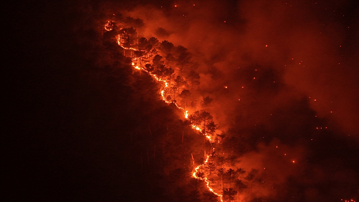 A A 20250728 38691036 38691033 B U R S A N I N O R H A N E L I H A R M A N C I K H A T T I N D A K I O R M A N Y A N G I N I N A M U D A H A L E S U R U Y O R