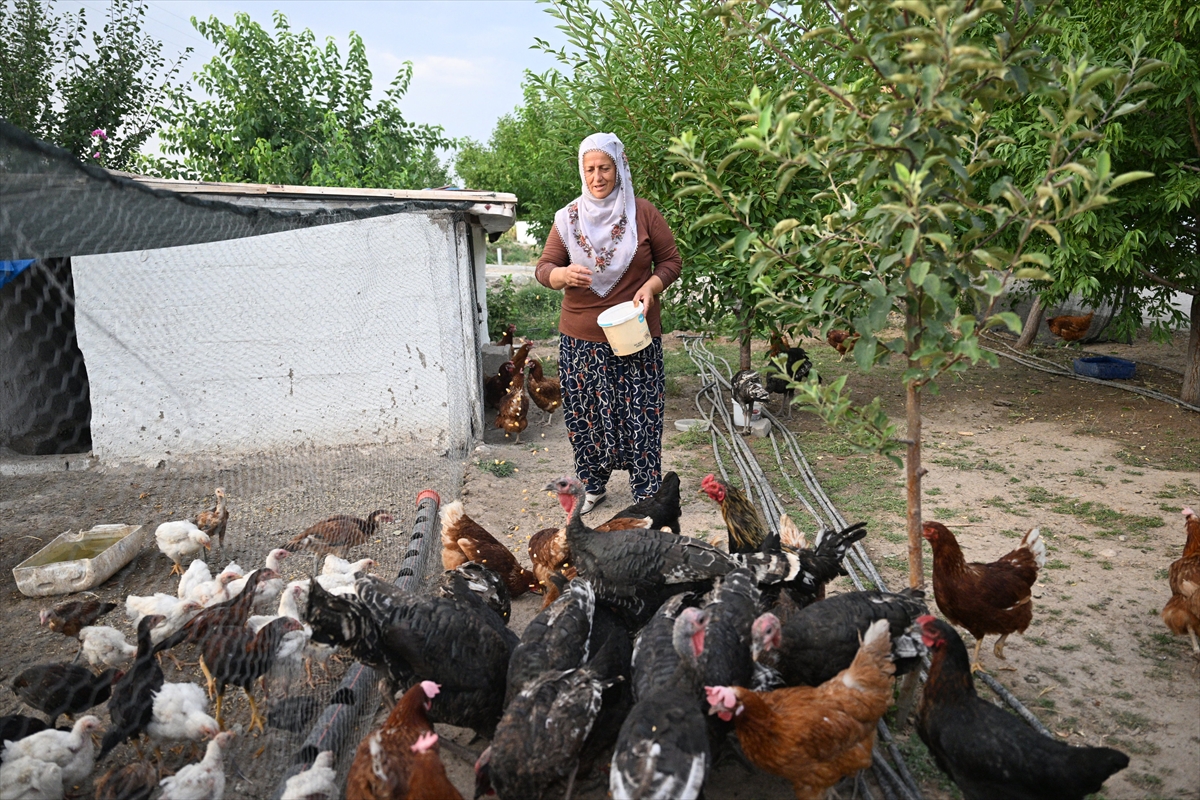 A A 20250731 38712716 38712709 O S I M H E N I N D O N U S U K A Y S E R I L I N E S L I H A N T E Y Z E Y I C O K S E V I N D I R D I