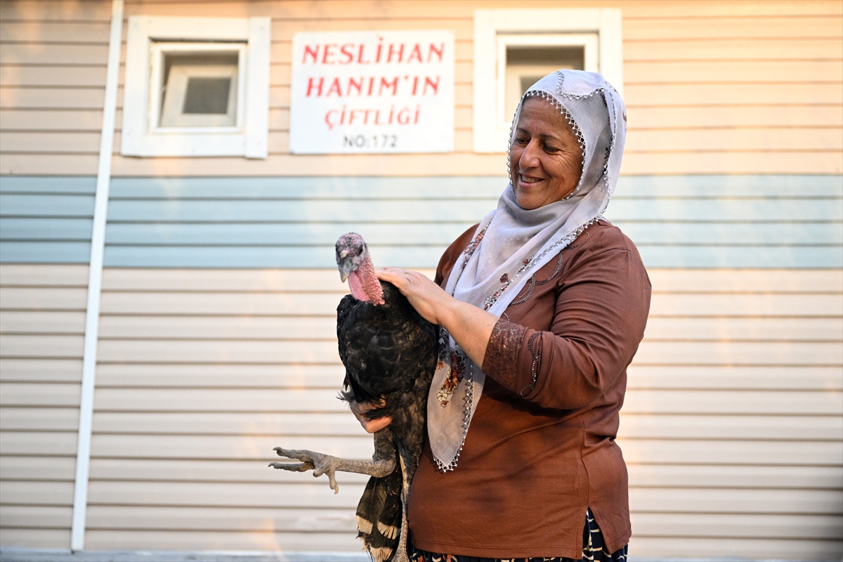 A A 20250731 38712716 38712710 O S I M H E N I N D O N U S U K A Y S E R I L I N E S L I H A N T E Y Z E Y I C O K S E V I N D I R D I