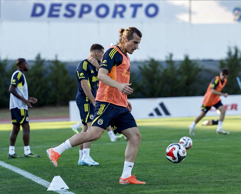 Gv2 Dvy G X0 A Alf Z W