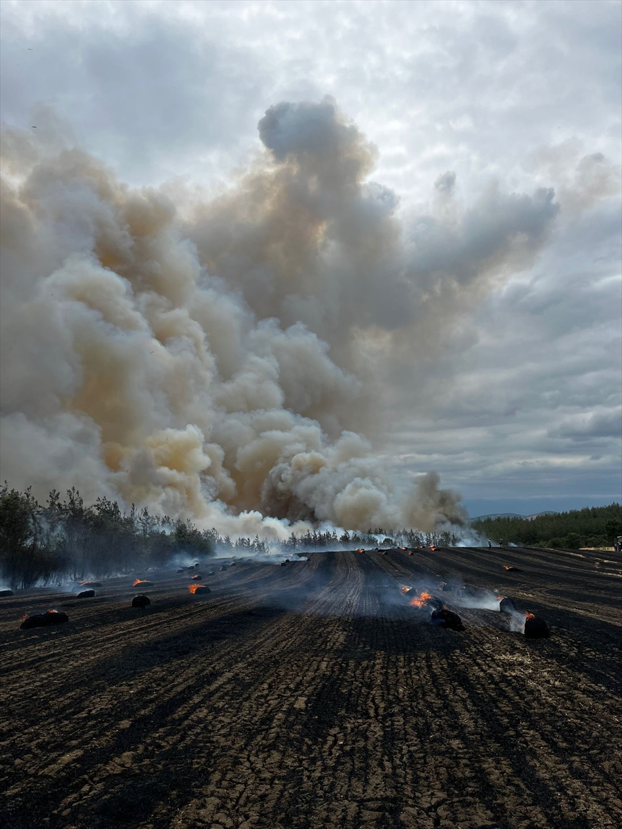 A A 20250801 38722540 38722539 B U R S A D A O R M A N L I K A L A N D A C I K A N Y A N G I N A M U D A H A L E E D I L I Y O R