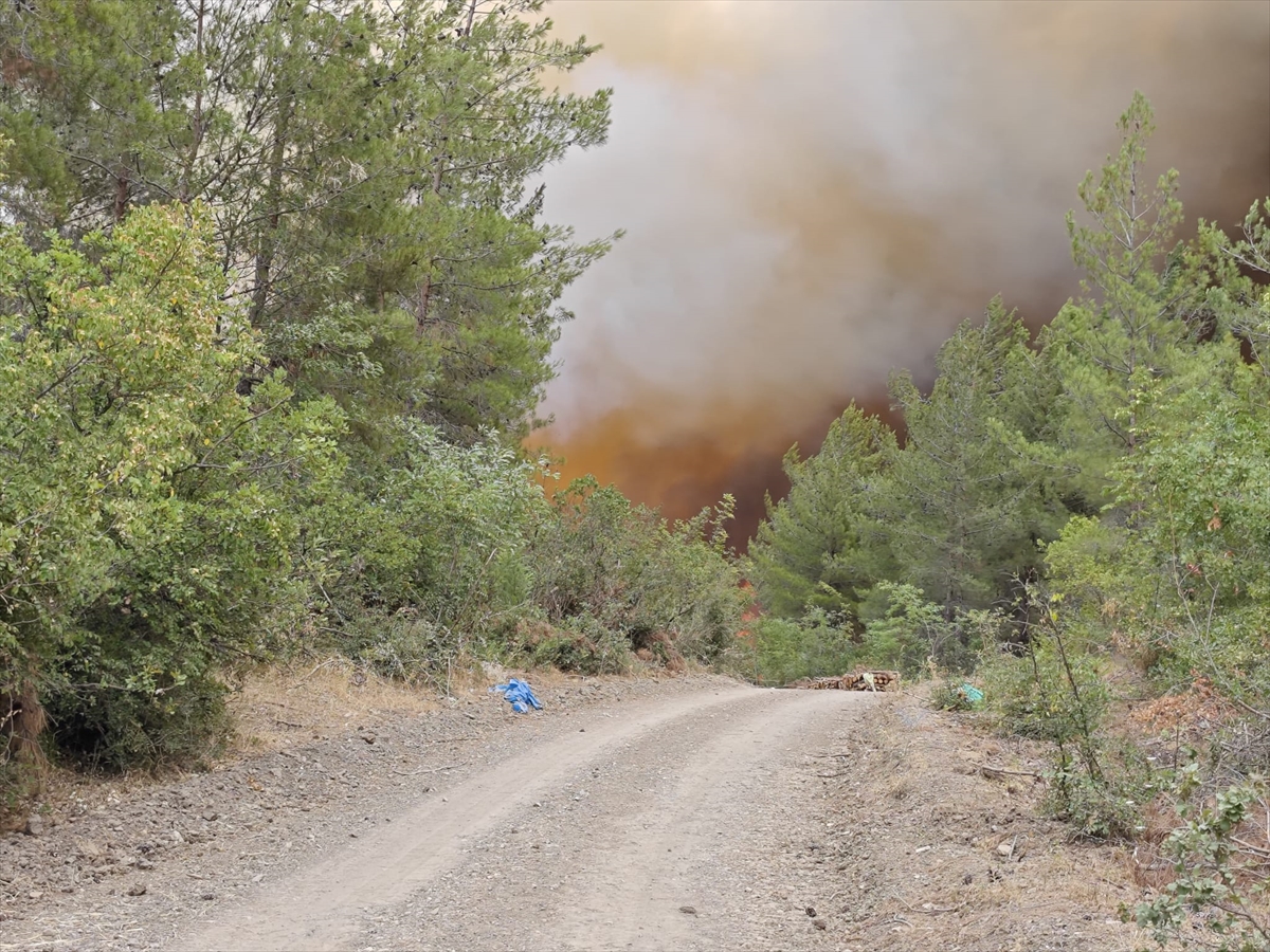 A A 20250801 38722555 38722554 B U R S A D A O R M A N L I K A L A N D A C I K A N Y A N G I N A M U D A H A L E E D I L I Y O R