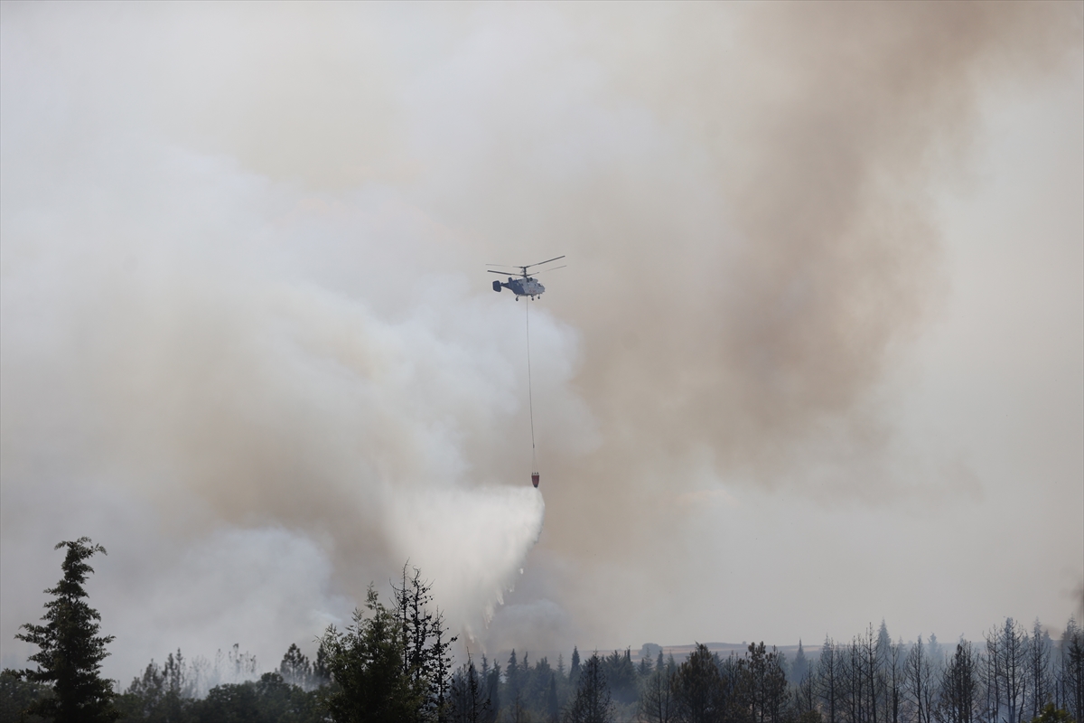 A A 20250804 38743468 38743465 K I R K L A R E L I N D E A G A C L I K A L A N D A C I K A N Y A N G I N N E D E N I Y L E A V R U P A O T O Y O L U T R A F I G E K A P A T I L D I