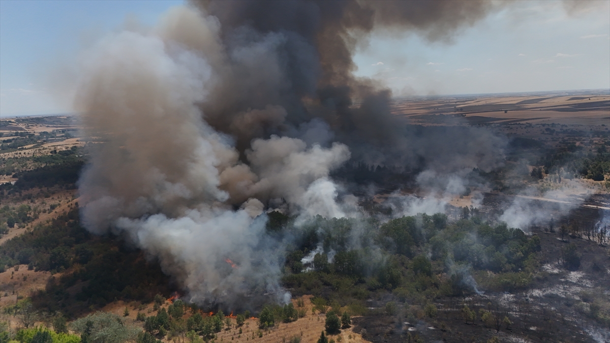 A A 20250804 38743609 38743597 K I R K L A R E L I N D E A G A C L I K A L A N D A C I K A N Y A N G I N N E D E N I Y L E A V R U P A O T O Y O L U T R A F I G E K A P A T I L D I