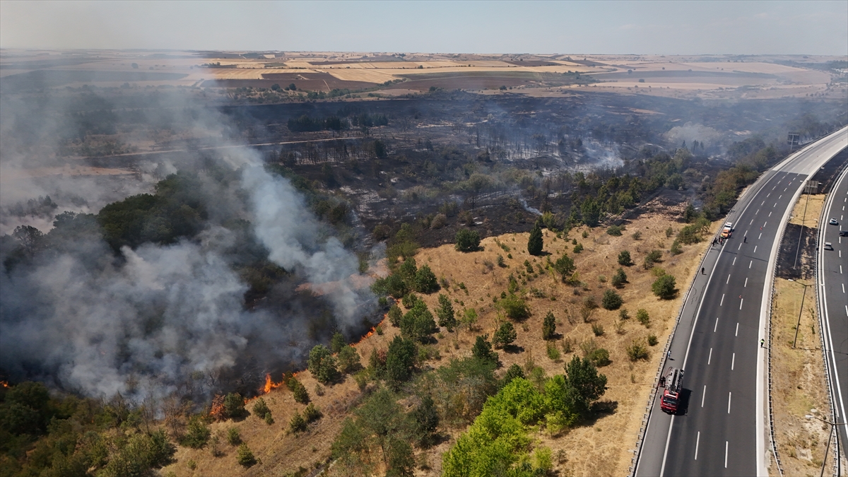 A A 20250804 38743609 38743608 K I R K L A R E L I N D E A G A C L I K A L A N D A C I K A N Y A N G I N N E D E N I Y L E A V R U P A O T O Y O L U T R A F I G E K A P A T I L D I