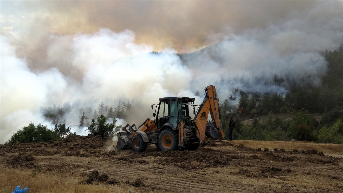 A A 20250807 38768170 38768160 K A R A B U K T E O R M A N L I K A L A N D A Y E N I D E N Y A N G I N C I K T I