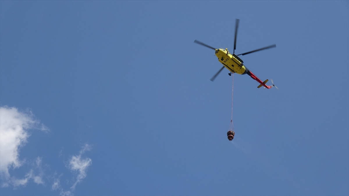 A A 20250807 38768170 38768165 K A R A B U K T E O R M A N L I K A L A N D A Y E N I D E N Y A N G I N C I K T I