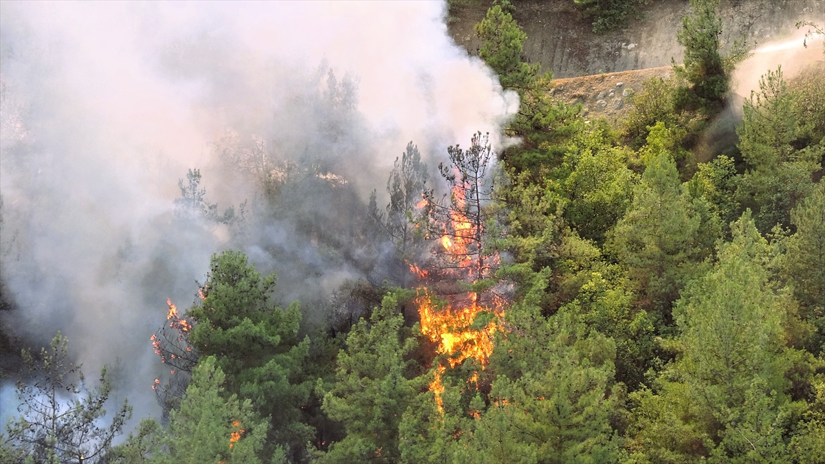 A A 20250807 38768170 38768167 K A R A B U K T E O R M A N L I K A L A N D A Y E N I D E N Y A N G I N C I K T I