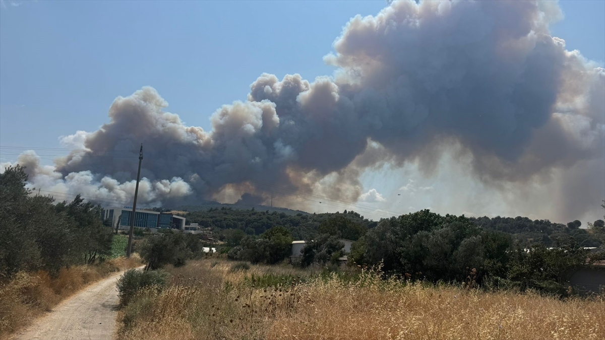 A A 20250808 38775612 38775610 C A N A K K A L E D E T A R I M A R A Z I S I N D E B A S L A Y I P O R M A N A S I C R A Y A N Y A N G I N A M U D A H A L E E D I L I Y O R