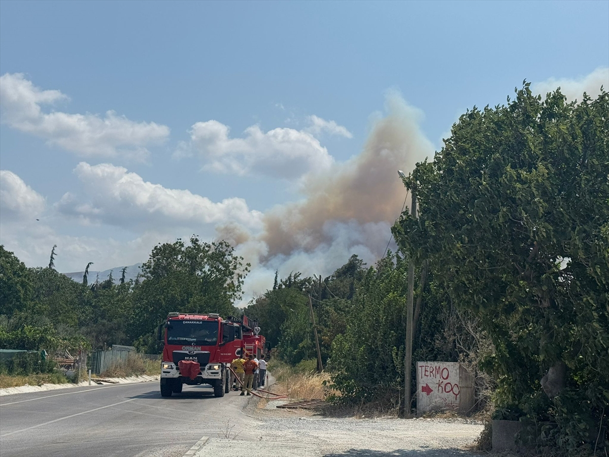 A A 20250808 38775612 38775611 C A N A K K A L E D E T A R I M A R A Z I S I N D E B A S L A Y I P O R M A N A S I C R A Y A N Y A N G I N A M U D A H A L E E D I L I Y O R