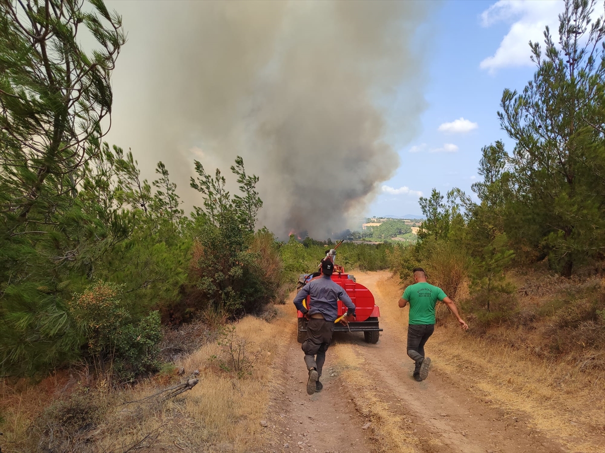 A A 20250808 38777176 38777175 C A N A K K A L E N I N B A Y R A M I C I L C E S I N D E C I K A N O R M A N Y A N G I N I N E D E N I Y L E 3 K O Y B O S A L T I L D I