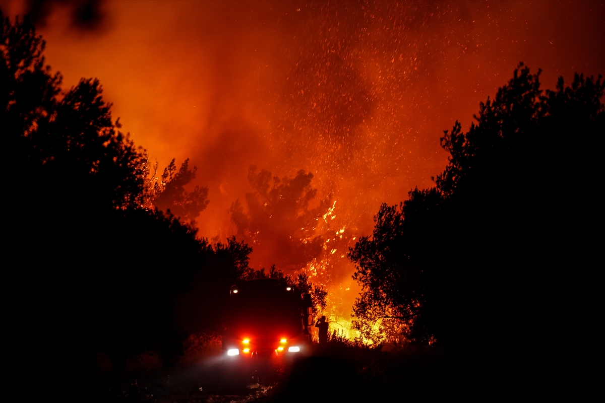 A A 20250808 38781266 38781253 B A Y R A M I C I L C E S I N D E C I K A N O R M A N Y A N G I N I N A M U D A H A L E S U R U Y O R