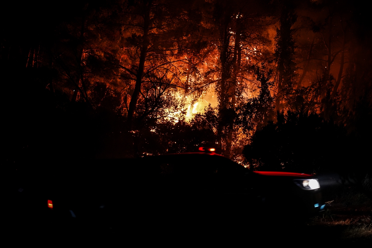 A A 20250808 38781266 38781258 B A Y R A M I C I L C E S I N D E C I K A N O R M A N Y A N G I N I N A M U D A H A L E S U R U Y O R