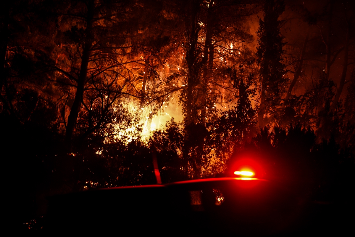 A A 20250808 38781266 38781259 B A Y R A M I C I L C E S I N D E C I K A N O R M A N Y A N G I N I N A M U D A H A L E S U R U Y O R