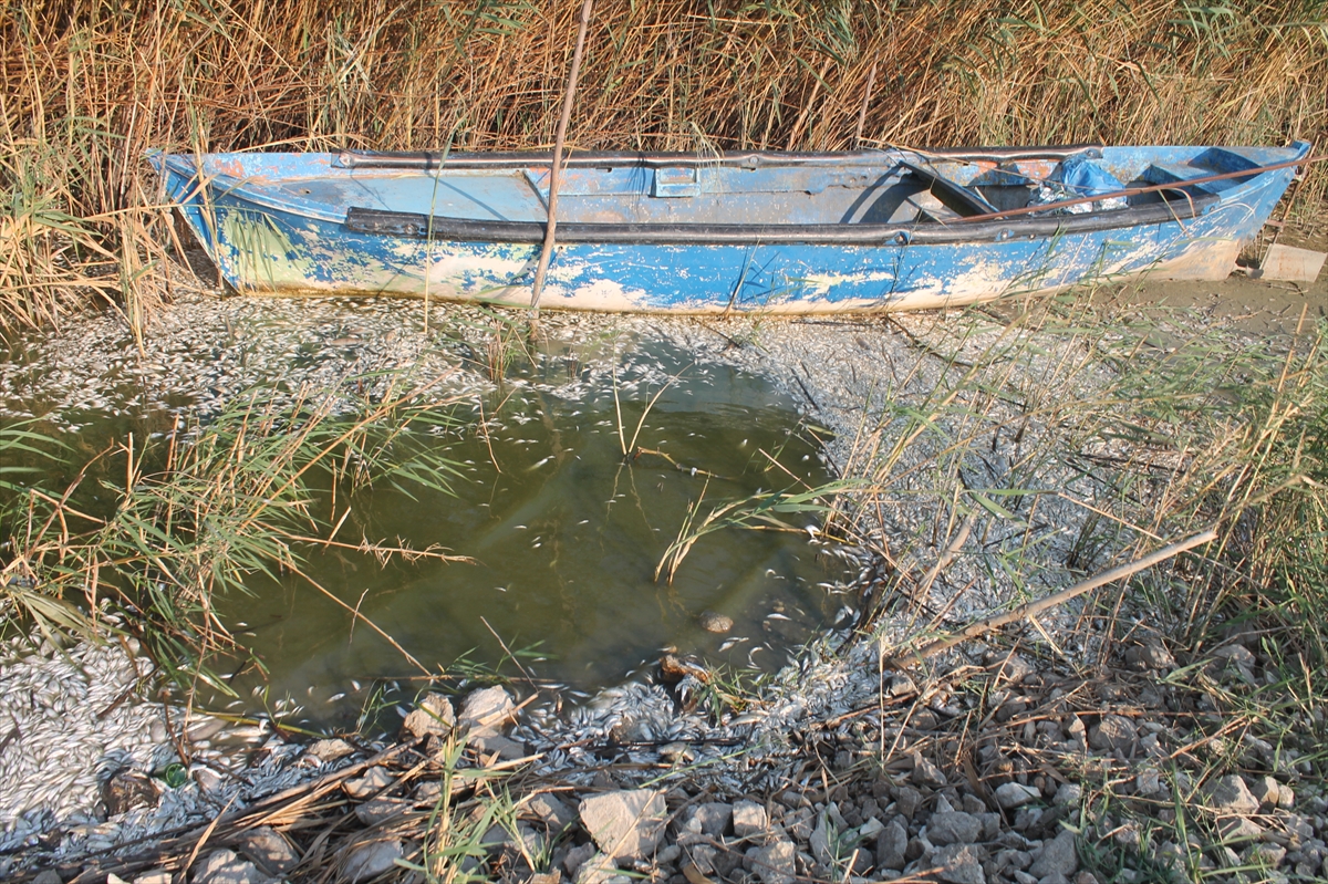 A A 20250809 38783195 38783192 B A L I K E S I R I N M A N Y A S G O L U N D E K I T O P L U B A L I K O L U M L E R I Y L E I L G I L I I N C E L E M E B A S L A T I L D I