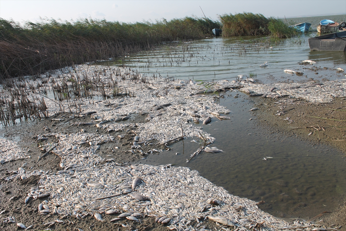 A A 20250809 38783195 38783194 B A L I K E S I R I N M A N Y A S G O L U N D E K I T O P L U B A L I K O L U M L E R I Y L E I L G I L I I N C E L E M E B A S L A T I L D I