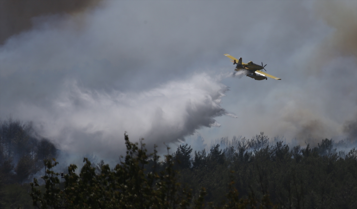 A A 20250811 38800202 38800199 C A N A K K A L E D E C I K A N O R M A N Y A N G I N I N A M U D A H A L E E D I L I Y O R