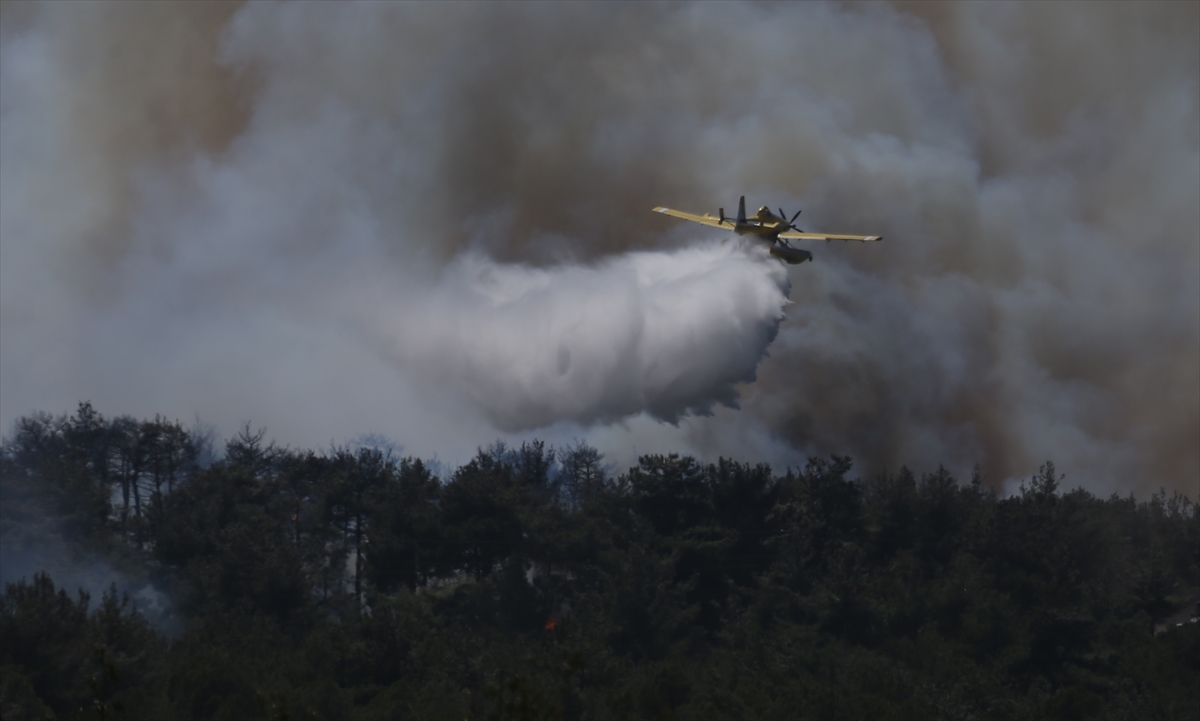 A A 20250811 38800353 38800350 C A N A K K A L E D E C I K A N O R M A N Y A N G I N I N A M U D A H A L E E D I L I Y O R