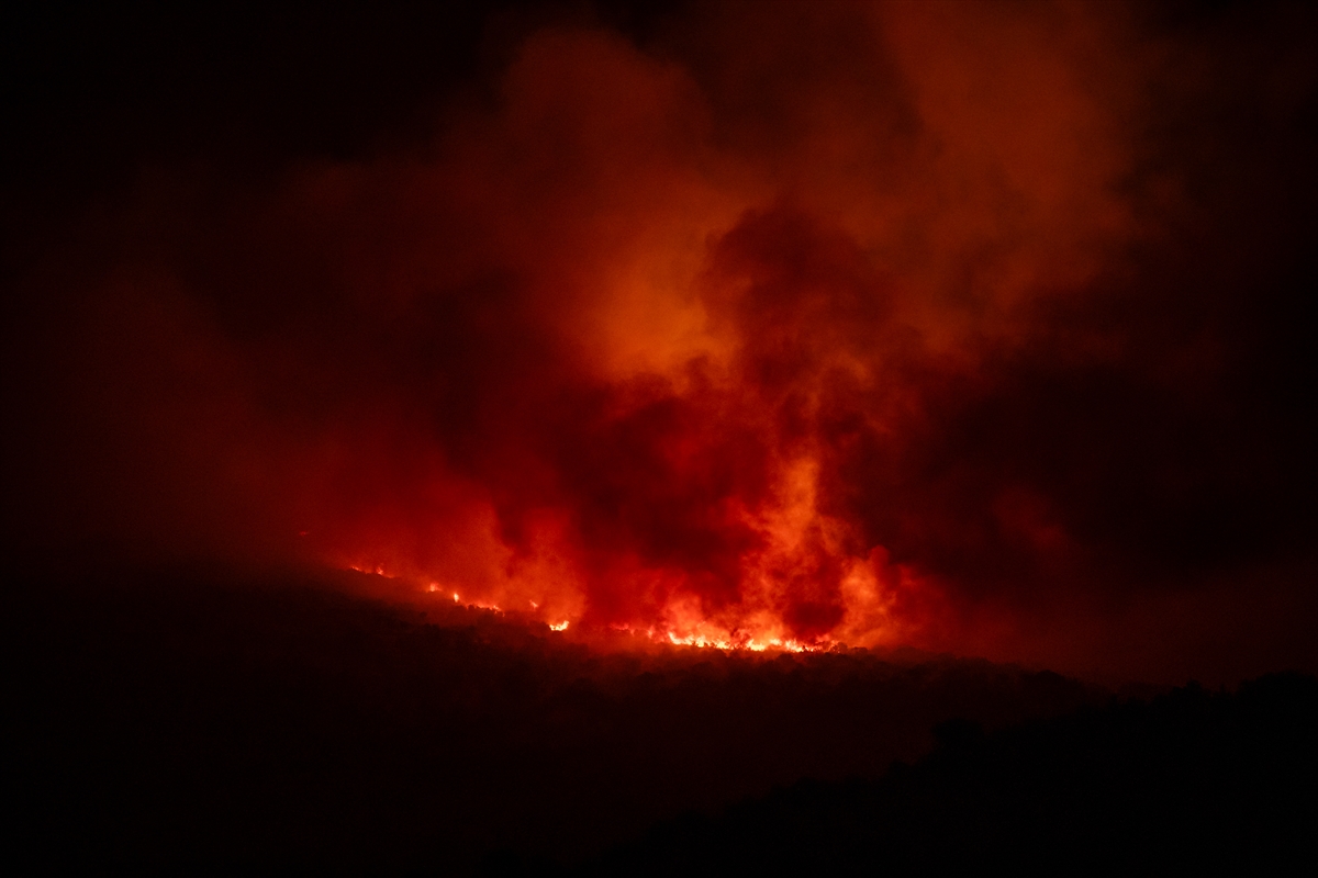 A A 20250812 38808112 38808108 K A R A D A G D A N O R M A N Y A N G I N L A R I N A M U D A H A L E I C I N U L U S L A R A R A S I Y A R D I M T A L E B I