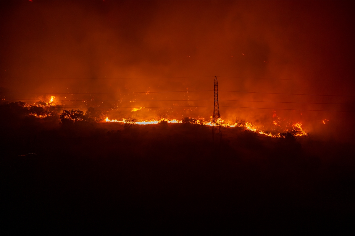 A A 20250812 38808112 38808110 K A R A D A G D A N O R M A N Y A N G I N L A R I N A M U D A H A L E I C I N U L U S L A R A R A S I Y A R D I M T A L E B I