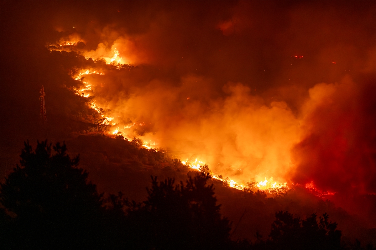 A A 20250812 38808112 38808111 K A R A D A G D A N O R M A N Y A N G I N L A R I N A M U D A H A L E I C I N U L U S L A R A R A S I Y A R D I M T A L E B I