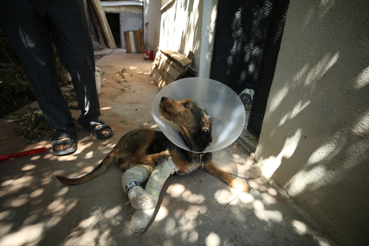 A A 20250812 38809140 38809134 B A L I K E S I R S I N D I R G I D A K I D E P R E M D E D U S E N M O L O Z U N A L T I N D A K A L A R A K Y A R A L A N A N K O P E K T E D A V I E D I L D I