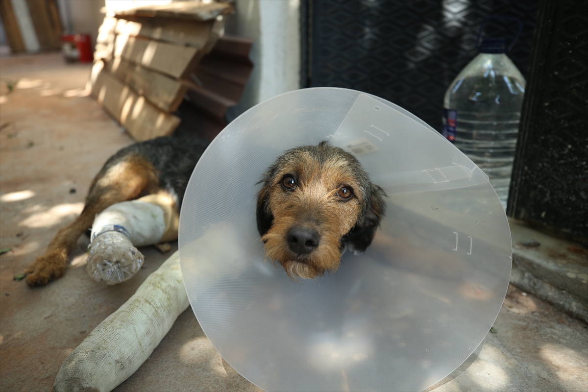 A A 20250812 38809140 38809137 B A L I K E S I R S I N D I R G I D A K I D E P R E M D E D U S E N M O L O Z U N A L T I N D A K A L A R A K Y A R A L A N A N K O P E K T E D A V I E D I L D I