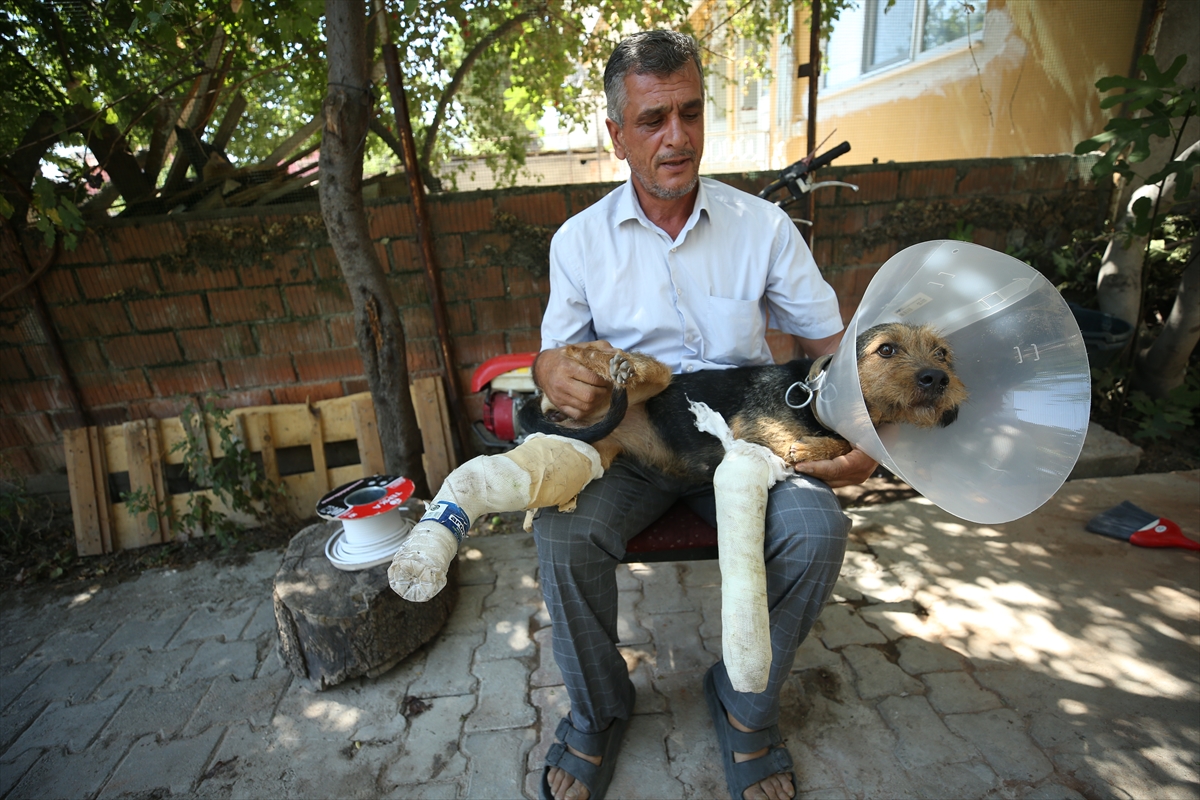 A A 20250812 38809140 38809138 B A L I K E S I R S I N D I R G I D A K I D E P R E M D E D U S E N M O L O Z U N A L T I N D A K A L A R A K Y A R A L A N A N K O P E K T E D A V I E D I L D I