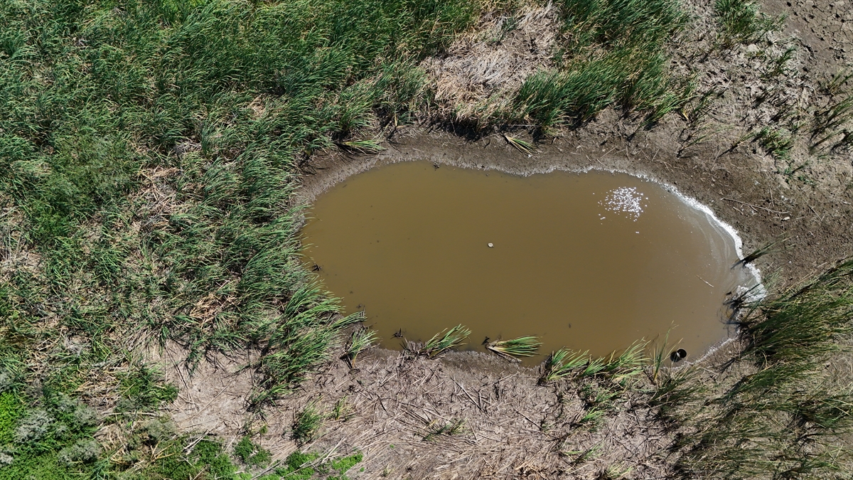 A A 20250813 38815302 38815300 K I R K L A R E L I N I N S A Z L I K G O L E T I K U R A K L I K N E D E N I Y L E K U R U M A N O K T A S I N A G E L D I