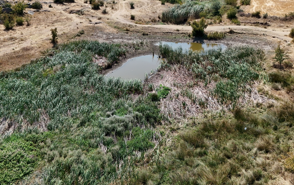 A A 20250813 38815302 38815301 K I R K L A R E L I N I N S A Z L I K G O L E T I K U R A K L I K N E D E N I Y L E K U R U M A N O K T A S I N A G E L D I