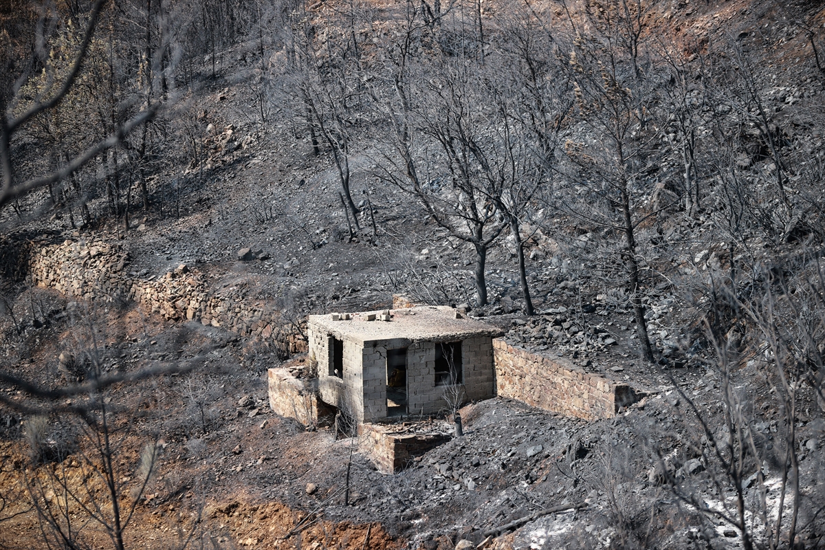 A A 20250814 38825452 38825440 M E R S I N I N S I L I F K E I L C E S I N D E K I O R M A N Y A N G I N I N A M U D A H A L E S U R U Y O R