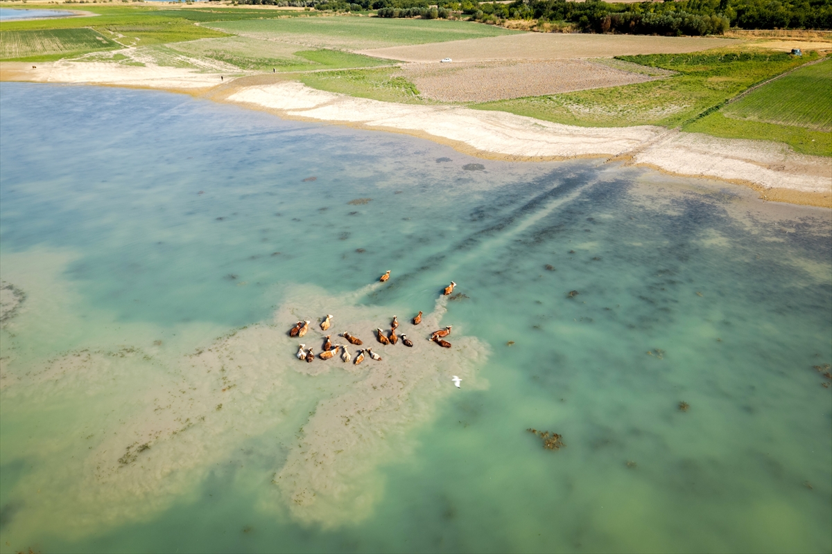 A A 20250814 38825997 38825982 K A R A K A Y A B A R A J I N D A S U S E V I Y E S I S I C A K H A V A V E K U R A K L I K N E D E N I Y L E G E R I L E D I