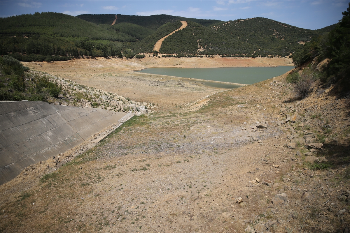 A A 20250815 38833965 38833957 E D I R N E D E K A D I K O Y B A R A J I N D A S U S E V I Y E S I Y U Z D E 1 I N A L T I N A D U S T U