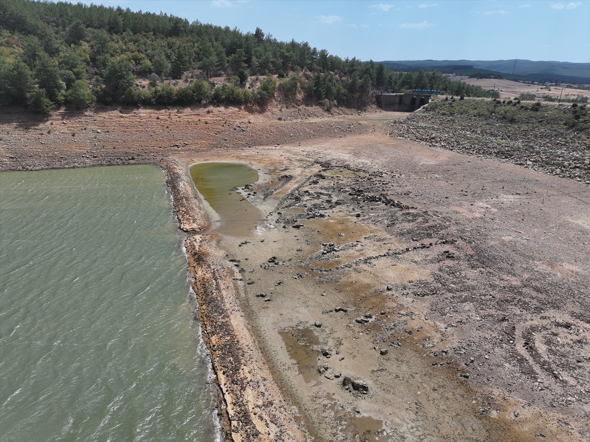 A A 20250815 38833965 38833962 E D I R N E D E K A D I K O Y B A R A J I N D A S U S E V I Y E S I Y U Z D E 1 I N A L T I N A D U S T U