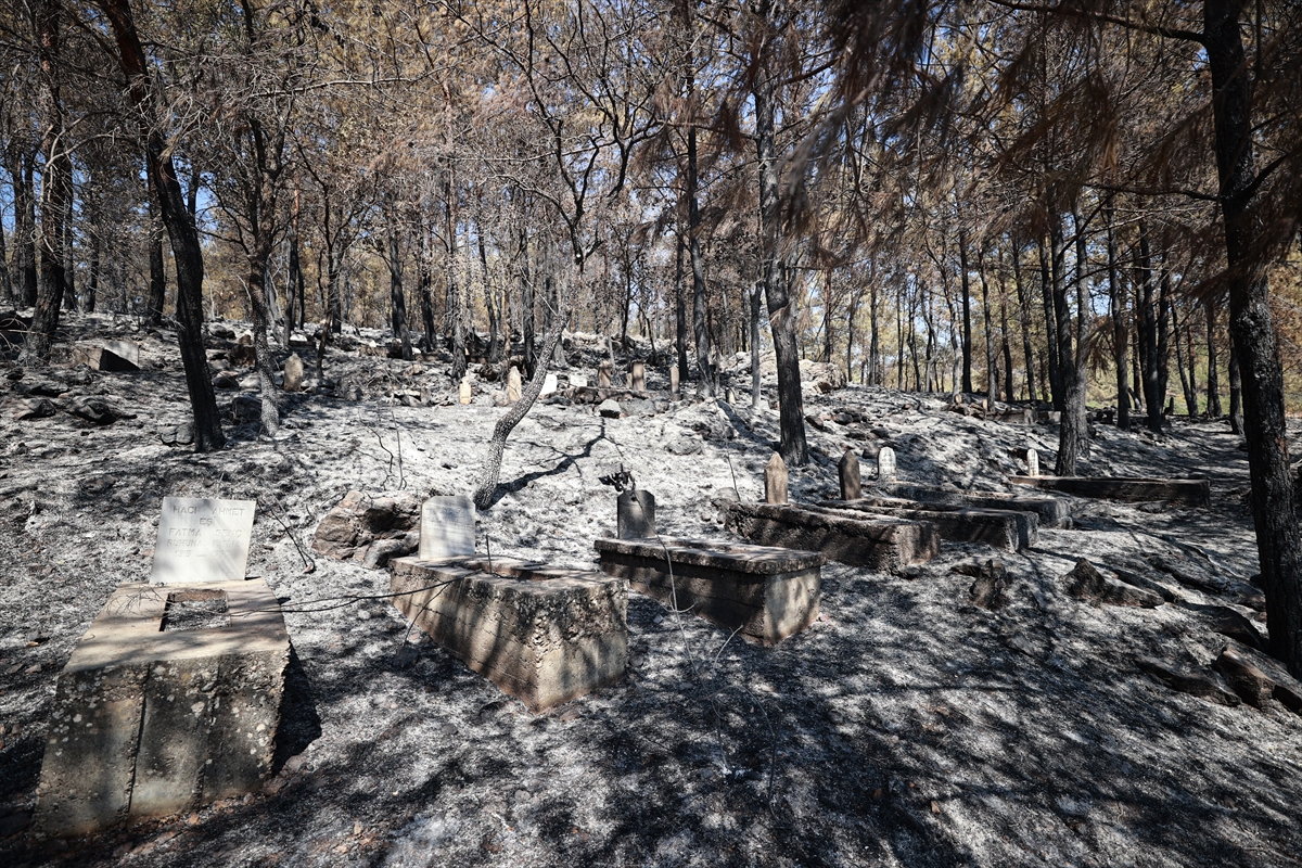 A A 20250815 38836390 38836386 M E R S I N S I L I F K E D E K I O R M A N Y A N G I N I N D A M E Z A R L A R T A H R I P O L D U