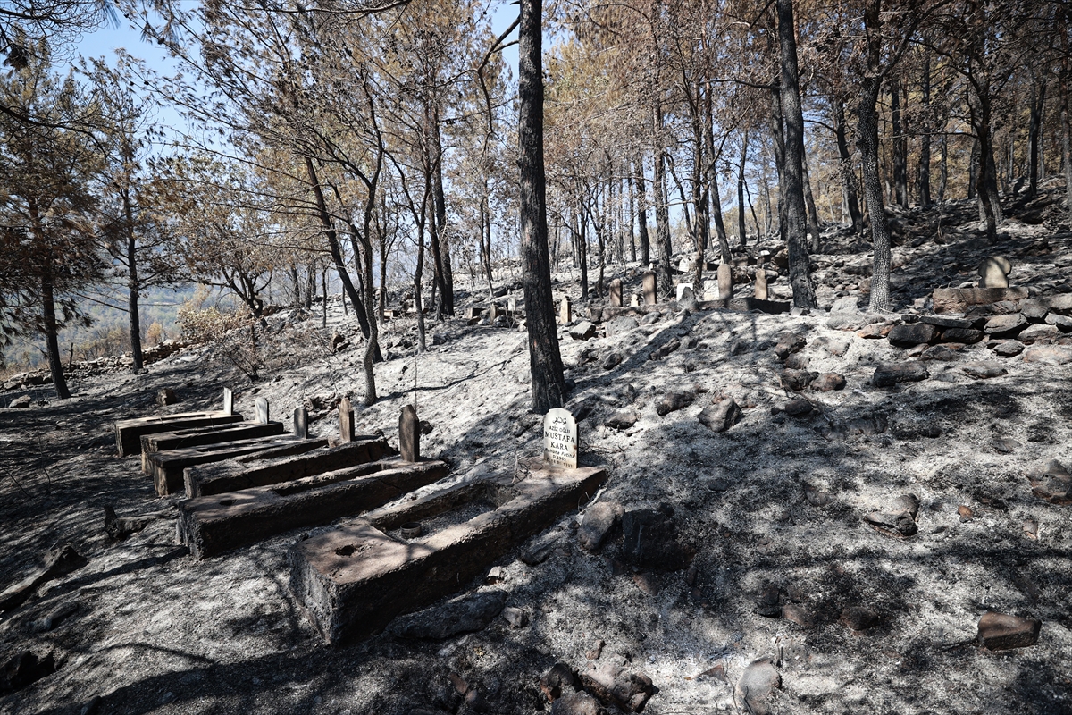 A A 20250815 38836390 38836387 M E R S I N S I L I F K E D E K I O R M A N Y A N G I N I N D A M E Z A R L A R T A H R I P O L D U