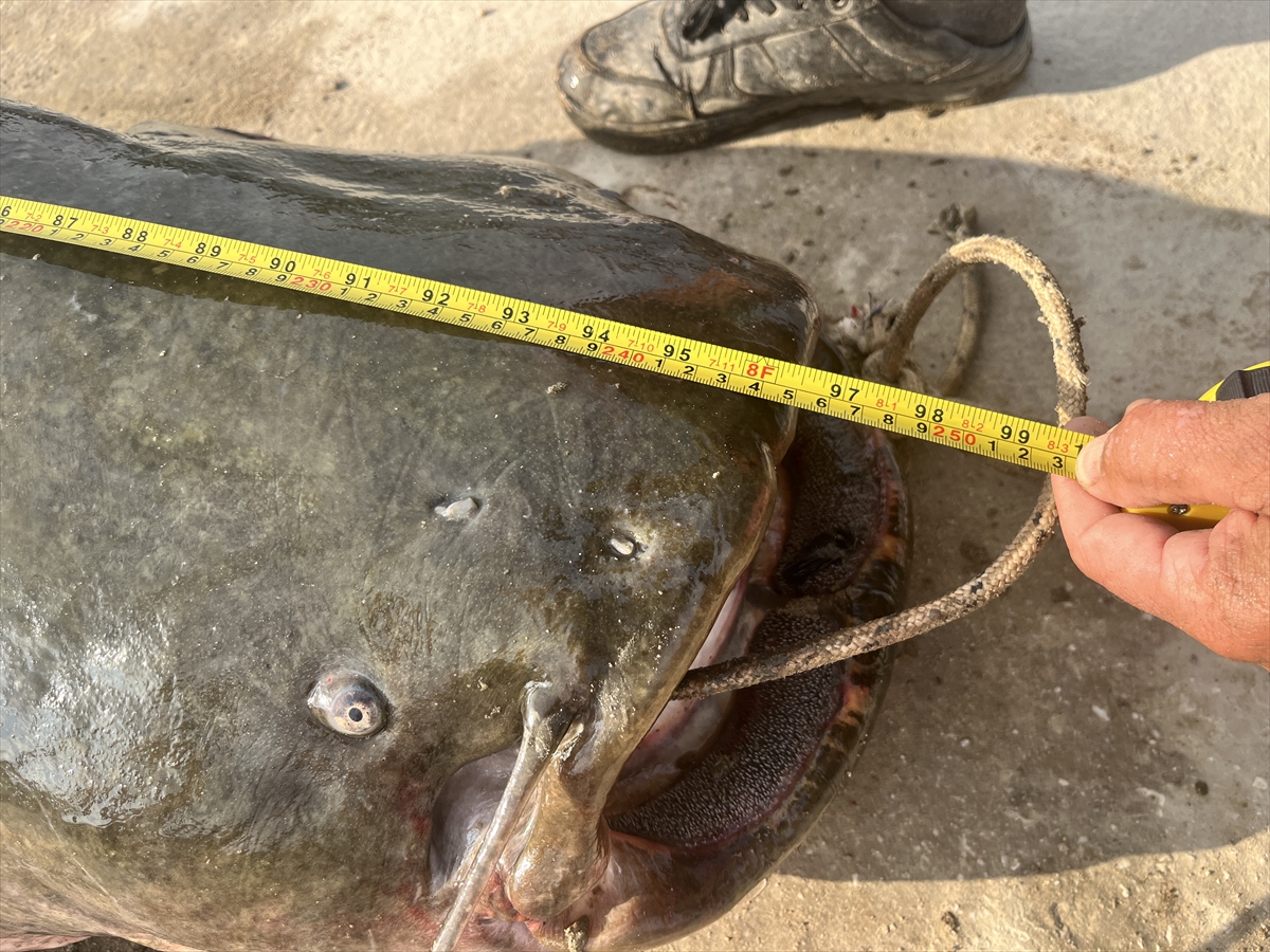 A A 20250819 38865228 38865224 M E R I C N E H R I N D E O L T A Y L A 25 M E T R E L I K B A L I K Y A K A L A N D I