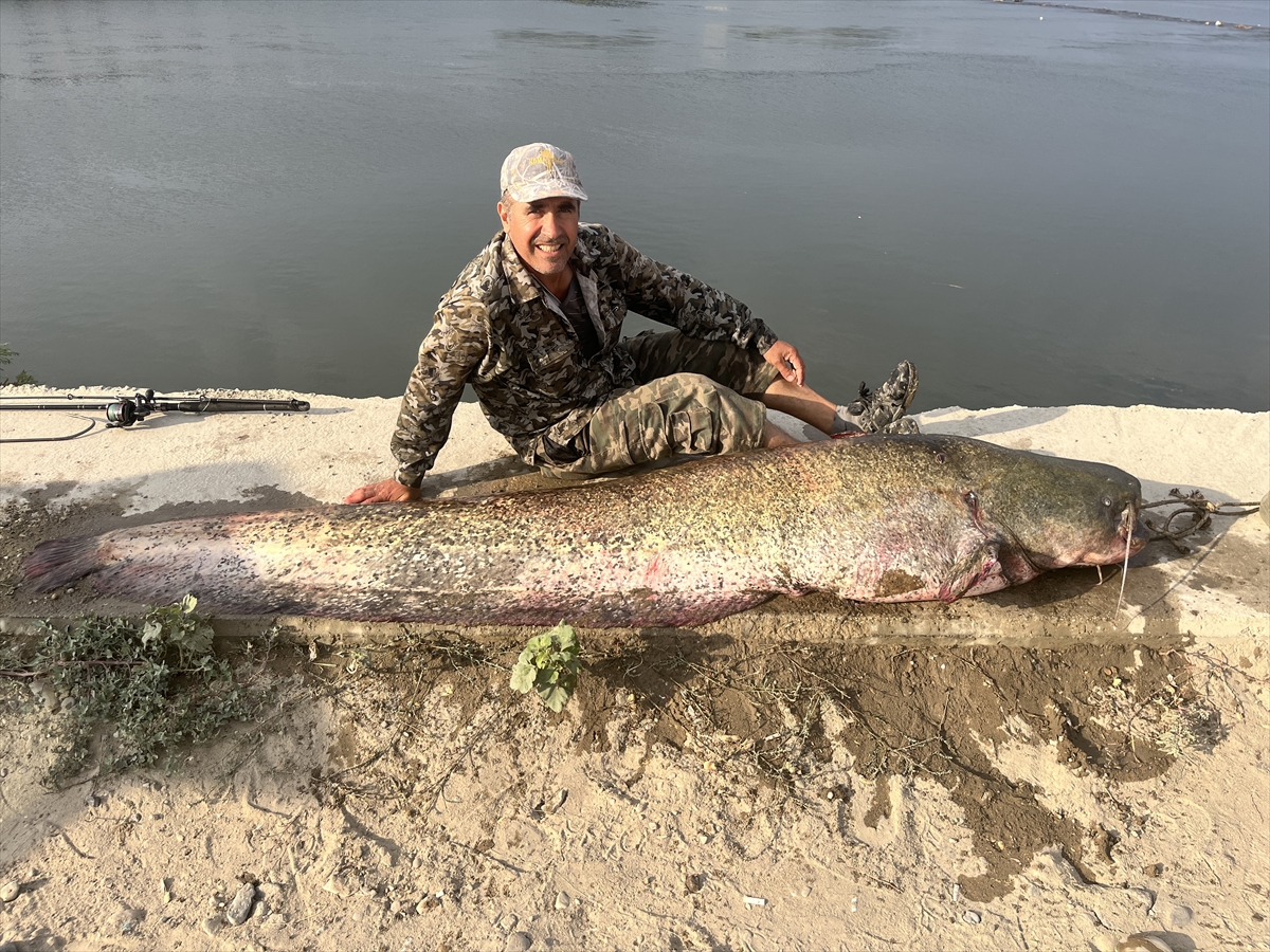 A A 20250819 38865228 38865227 M E R I C N E H R I N D E O L T A Y L A 25 M E T R E L I K B A L I K Y A K A L A N D I