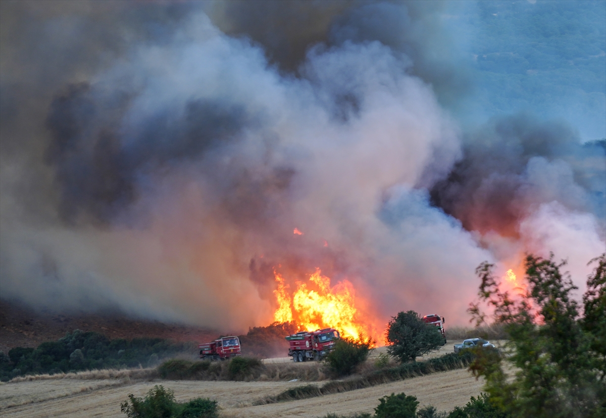 A A 20250825 38923216 38923213 B A L I K E S I R I N S U S U R L U K I L C E S I N D E C I K A N O R M A N Y A N G I N I N A M U D A H A L E E D I L I Y O R