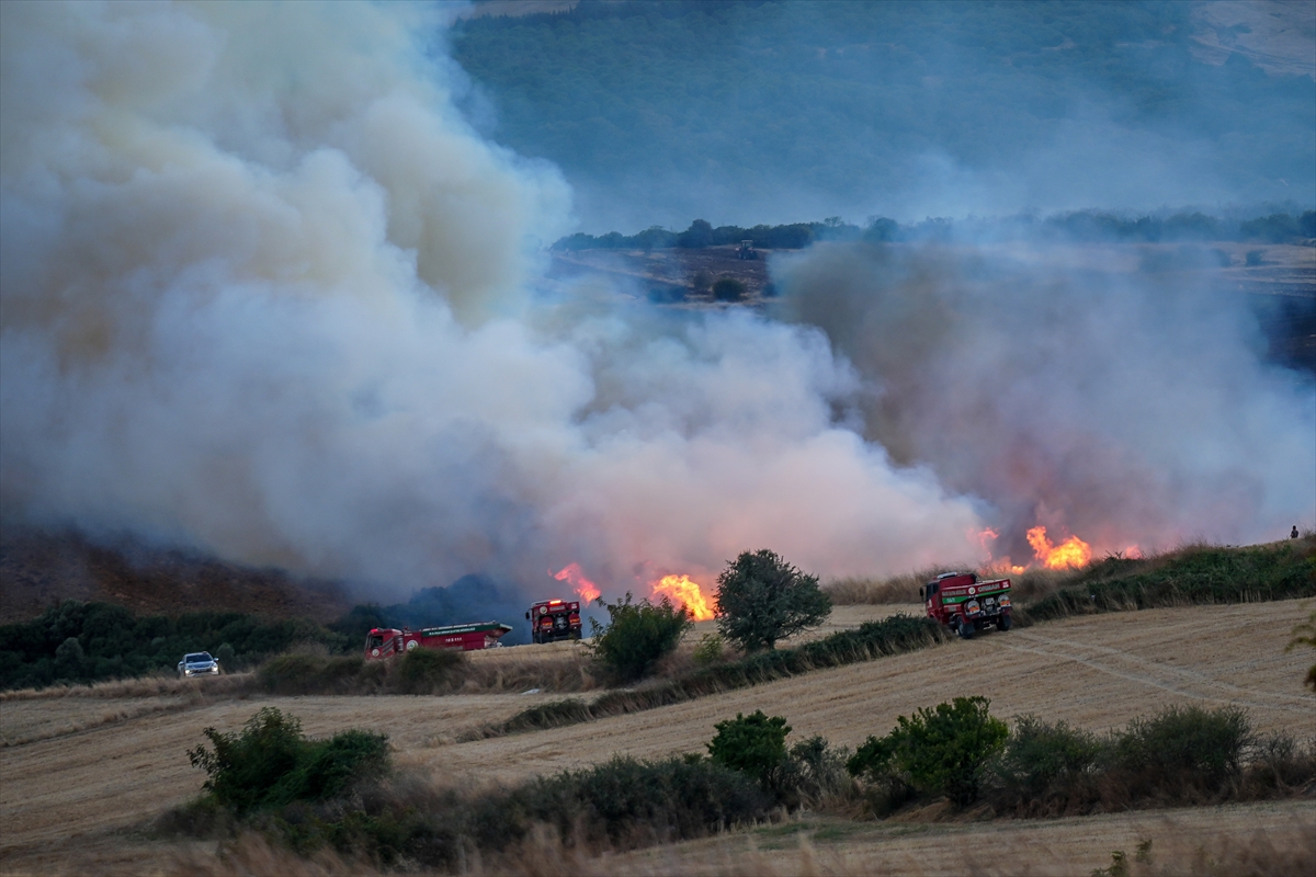 A A 20250825 38923216 38923214 B A L I K E S I R I N S U S U R L U K I L C E S I N D E C I K A N O R M A N Y A N G I N I N A M U D A H A L E E D I L I Y O R