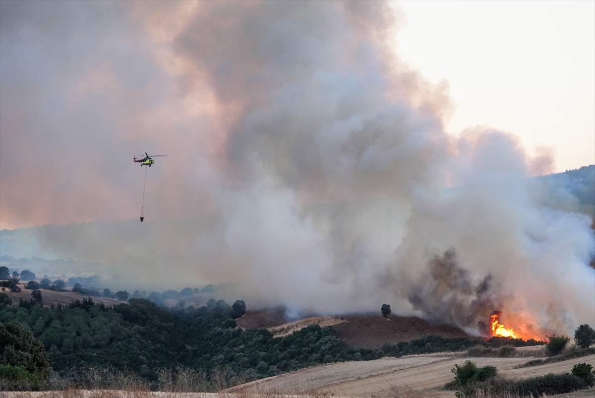 A A 20250825 38923216 38923215 B A L I K E S I R I N S U S U R L U K I L C E S I N D E C I K A N O R M A N Y A N G I N I N A M U D A H A L E E D I L I Y O R