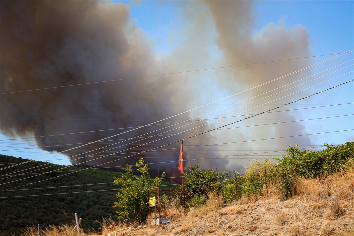 A A 20250828 38947805 38947804 B U R S A D A C I K A N O R M A N Y A N G I N I N A M U D A H A L E E D I L I Y O R