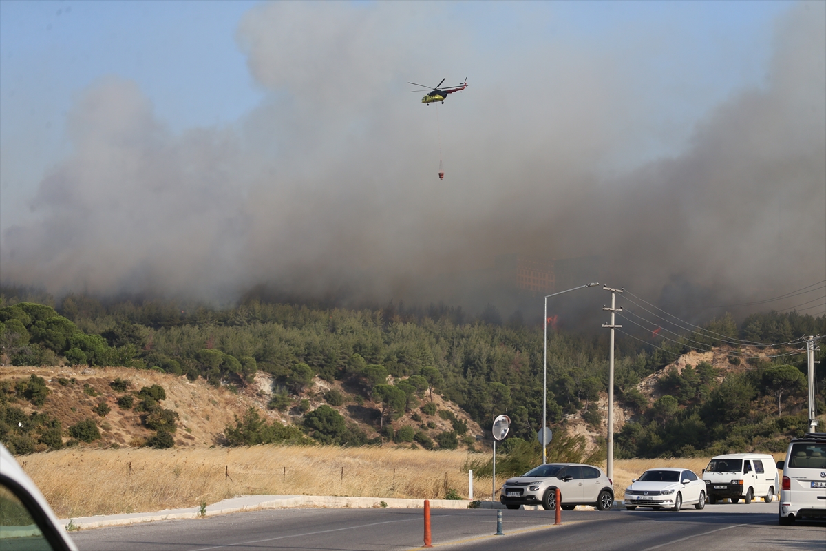 Çanakkale Yangın7